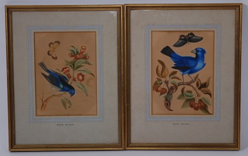 Lot 674 - Emma Sillett (c.1800-1880), Norwich School,...