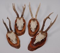 Lot 682 - Roe Deer (Capreolus capreolus) four pairs of...
