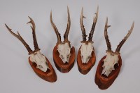 Lot 683 - Roe Deer (Capreolus capreolus) four pairs of...