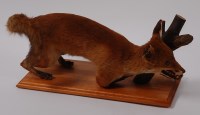 Lot 687 - A taxidermy fox (Vulpes vulpes), in stalking...