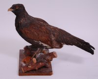 Lot 696 - A taxidermy Capercaillie (Tetrao urogallus),...