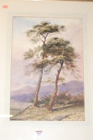 Lot 1002 - 20th century English school - Trees in high...