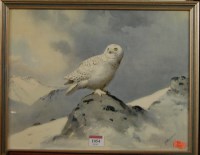 Lot 1054 - After John Cyril Harrison and other Birds of...