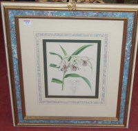Lot 1070 - After J Nugent - Set of four Botanical prints,...