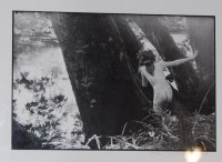 Lot 1096 - John Swannell (b.1946) - Untitled, gelatin...