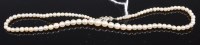 Lot 428 - A graduated cultured pearl single string...