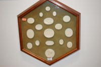 Lot 551 - A hexagonal glazed display housing various wax...