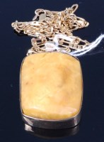 Lot 309 - A butterscotch amber pendant, in 9ct gold...