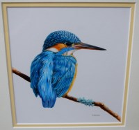 Lot 1067 - **KEVIN** Hickman - study of a kingfisher upon...
