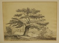 Lot 1029 - An etching of Wicken Fen, and a view of the...