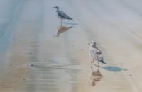 Lot 166 - Brian Hanlon (b.1956) - Reflections, Shadows...