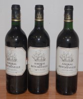 Lot 45 - Vigneti Casterna Amarone de la Valpolicella...