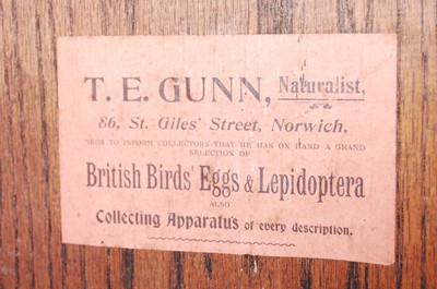 Lot 529 - * An early 20th century taxidermy Norfolk...