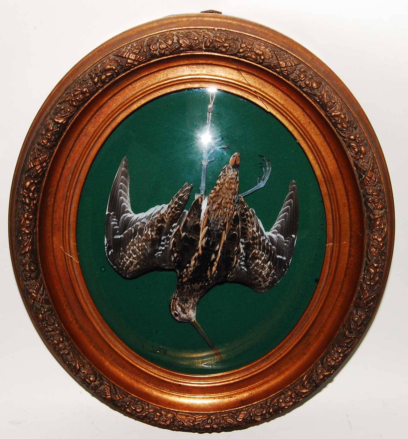 Lot 614 - * A taxidermy hanging Snipe (Gallinago...