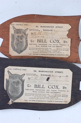 Lot 566 - * A mid-20th century taxidermy Fox (Vulpes...