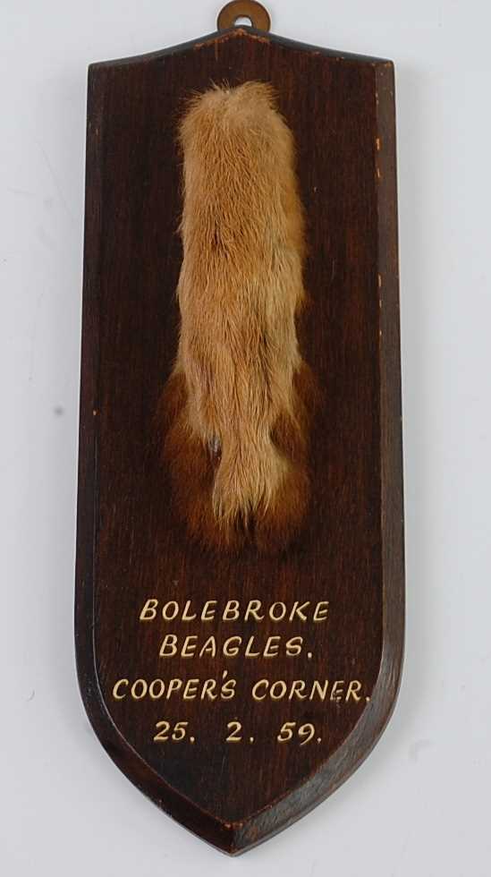 Lot 561 - * A taxidermy Fox (Vulpes vulpes) pad, mounted...