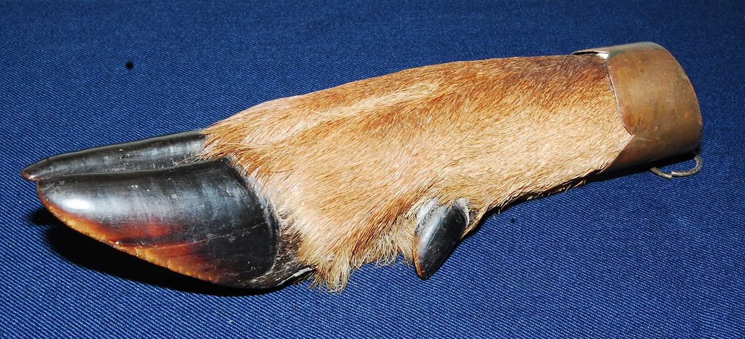 Lot 578 - * An early 20th century taxidermy Deer slot,...