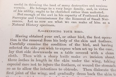 Lot 263 - * The Champion Handbooks, Bird Animal and Fish...