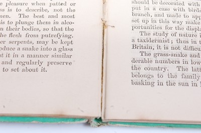 Lot 263 - * The Champion Handbooks, Bird Animal and Fish...