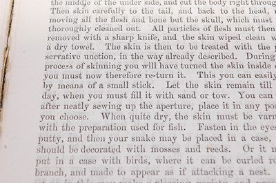 Lot 263 - * The Champion Handbooks, Bird Animal and Fish...