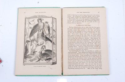 Lot 263 - * The Champion Handbooks, Bird Animal and Fish...