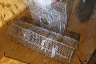 Lot 23 - 2 x Sparrow Traps
