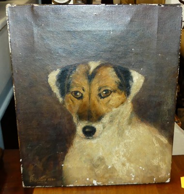 Lot 1118 - F Rockey - Dog study, oil on canvas, signed...