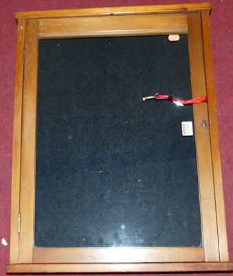 Lot 1254 - A stained pine single door glazed hanging...
