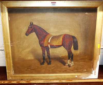 Lot 1041 - Charles F Davy - study of a bay thoroughbred...