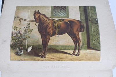 Lot 1007 - Miles, William J.: A Complete System of the...