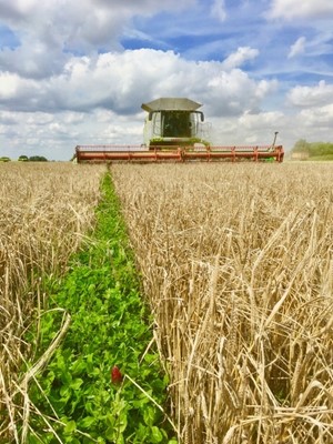 Lot 77 - Shimpling Park Farm Suffolk: Field to Fork...