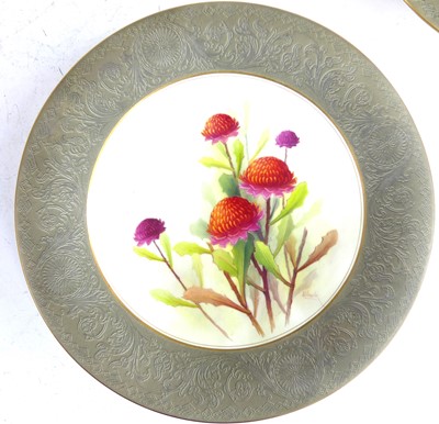 Lot 2056 - A Royal Worcester Australian Flower series...