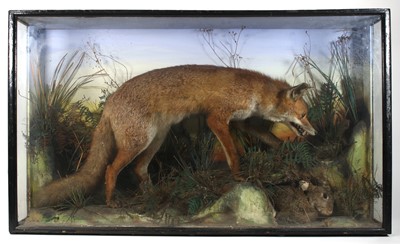Lot 450 - A late Victorian taxidermy Red fox (Vulpes...