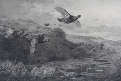 Lot 527 - After Archibald Thorburn, (1860-1935), Grouse...
