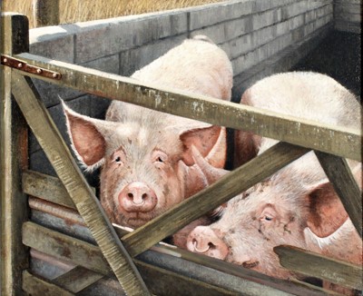 Lot 90 - Edna Bizon (1929-2016) - Pigs, oil on canvas,...