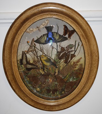Lot 436 - A Victorian taxidermy group to include a...