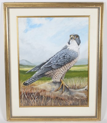 Lot 433 - Laurence Keeler (20th century) Peregrine...