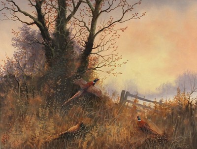 Lot 437 - Kevin Curtis (1958-2009), November Evening,...