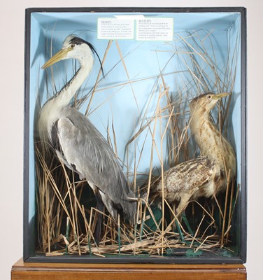 Lot 424 - An early 20th century taxidermy group to...