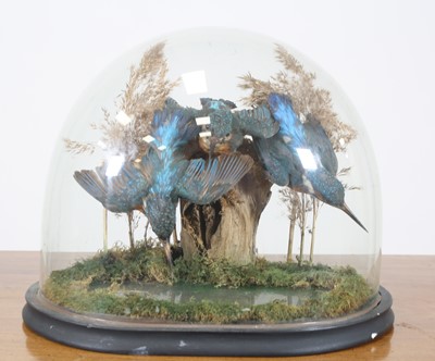 Lot 456 - A Victorian taxidermy group of three...