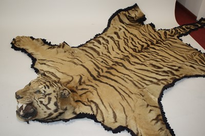 Lot 459 - A large early 20th century taxidermy Bengal...