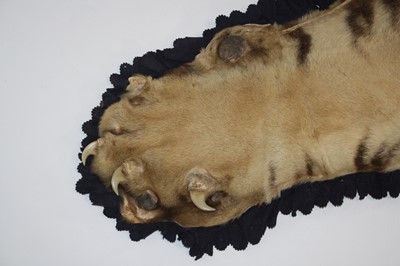 Lot 459 - A large early 20th century taxidermy Bengal...