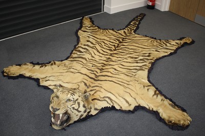 Lot 459 - A large early 20th century taxidermy Bengal...