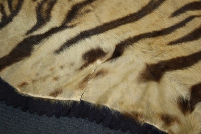 Lot 459 - A large early 20th century taxidermy Bengal...