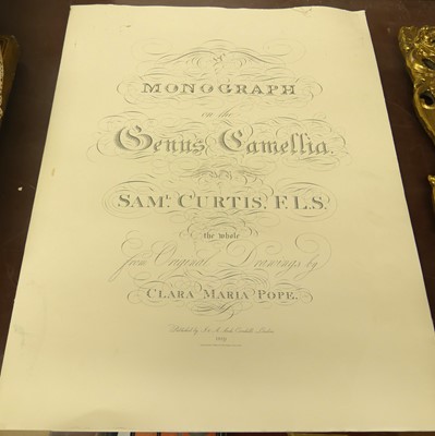 Lot 588 - A reproduction folio - Monograph on the Genus...