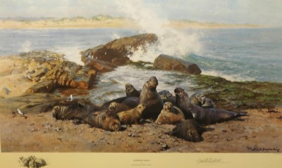 Lot 530 - David Shepherd (1931-2017) - Elephant seals,...